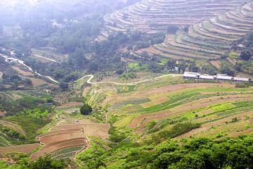 山間小路