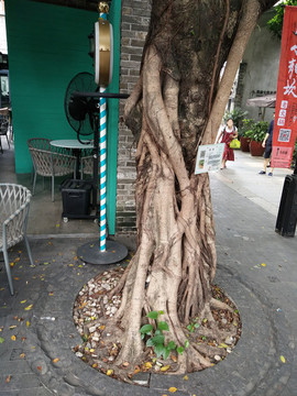 店面設計 裝修 外觀設計 建筑