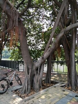 店面設(shè)計(jì) 裝修 外觀設(shè)計(jì) 建筑