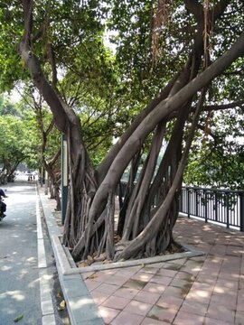 店面設(shè)計(jì) 裝修 外觀設(shè)計(jì) 建筑