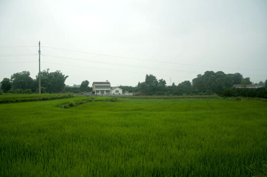 田園風(fēng)光
