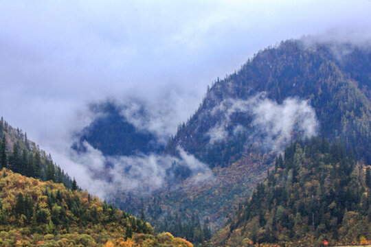 云霧山景
