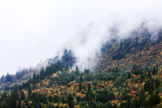 云霧山景