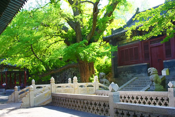 晉祠