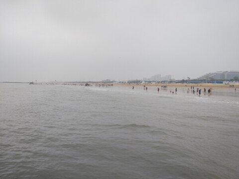 海