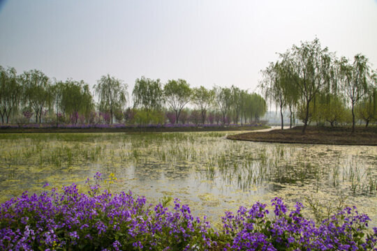 山東省臨沂市蘭陵國(guó)家農(nóng)業(yè)公園