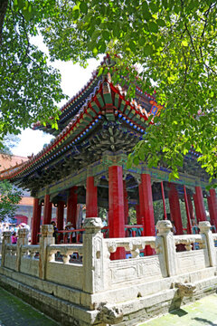 濟寧市曲阜市孔廟杏壇