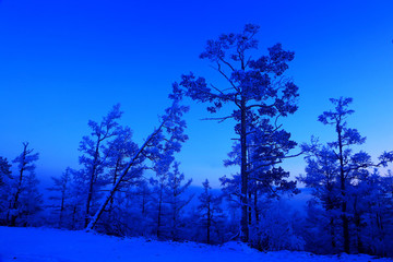 林海雪原暮色
