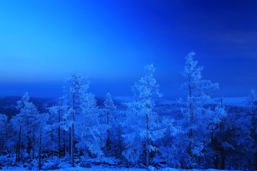 月光下的林海雪原