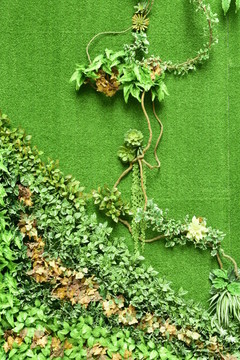 綠色植物墻
