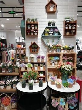 干花店禮品店花藝設(shè)計(jì)藝術(shù)