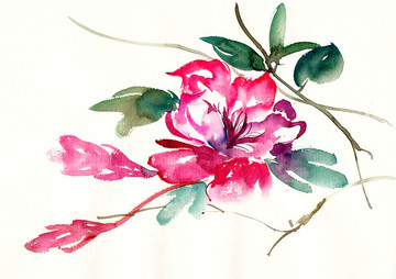 優(yōu)美的花