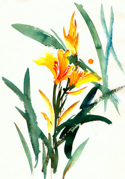 黃色嬌艷花
