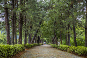 浙江寧波鄞州天童寺古香道