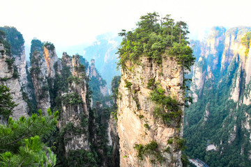 阿凡達