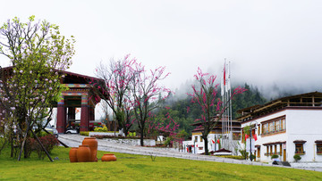 魯朗鎮(zhèn)