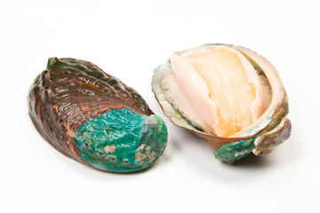 白背景鮑魚(yú)