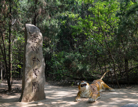 景陽岡武松打虎處