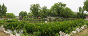 綠色公園全景