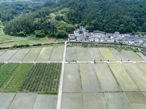 田園風(fēng)光