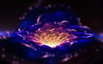 花卉裝飾畫