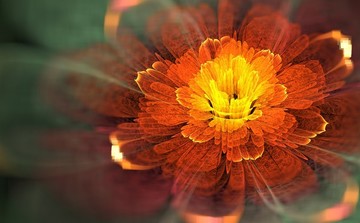 花卉裝飾畫