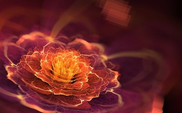 花卉裝飾畫