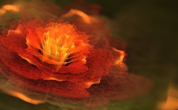 花卉裝飾畫(huà)