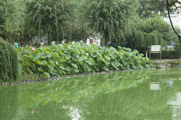 宜昌兒童公園