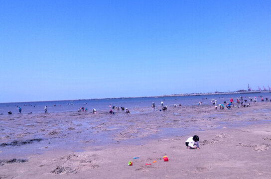 海灘