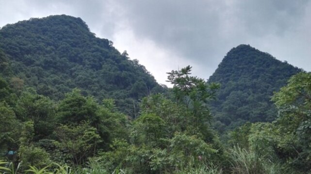 風(fēng)景