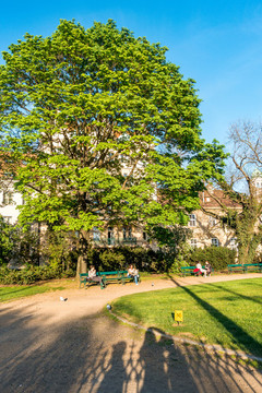 公園綠蔭