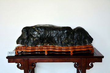 造型藝術(shù)