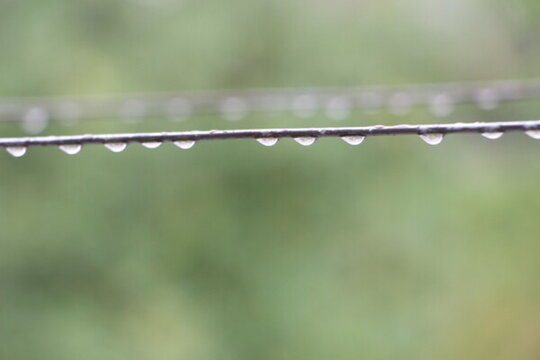雨掛