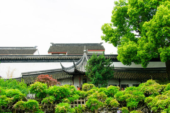蘇州園林