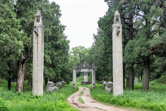 曲阜孔林旅游區(qū)