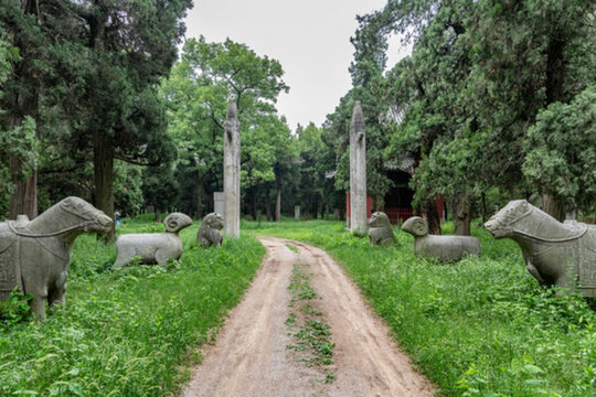 曲阜孔林旅游區(qū)