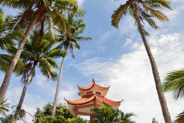 東郊椰林風光