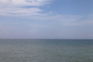 東郊椰林風(fēng)光