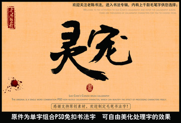 靈寵