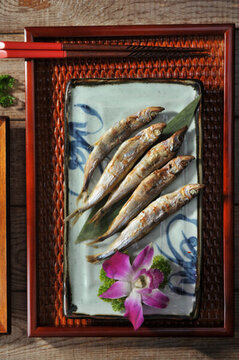 秋刀魚(yú)