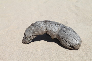 海邊漂浮物
