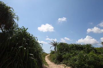 開發(fā)路