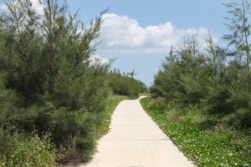 開(kāi)發(fā)路