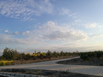 田園