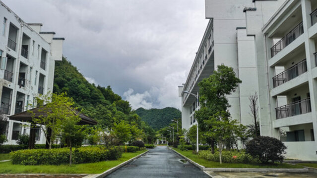 校園綠化