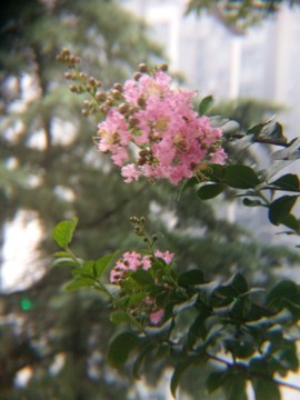 西安桃花潭公園