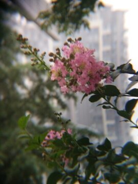 西安桃花潭公園