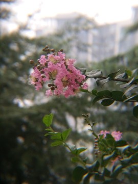 西安桃花潭公園