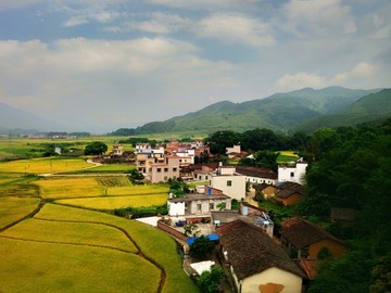 豐收的季節(jié)